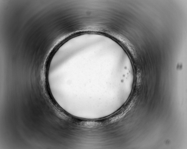 X0000103461077200810101145