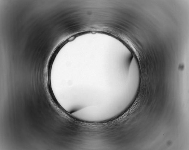 X0000103461080200810101145