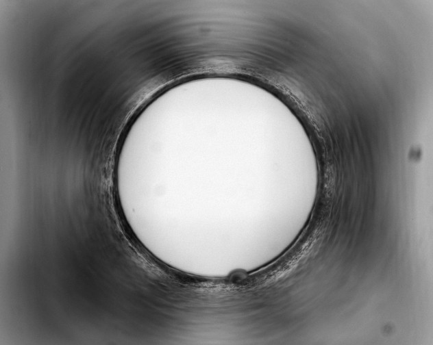 X0000103461081200810101145