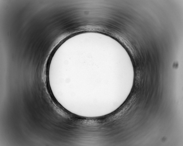 X0000103461082200810101145