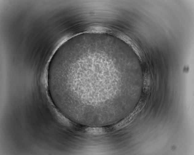 X0000103461083200810101145