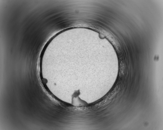X0000103461084200810101145