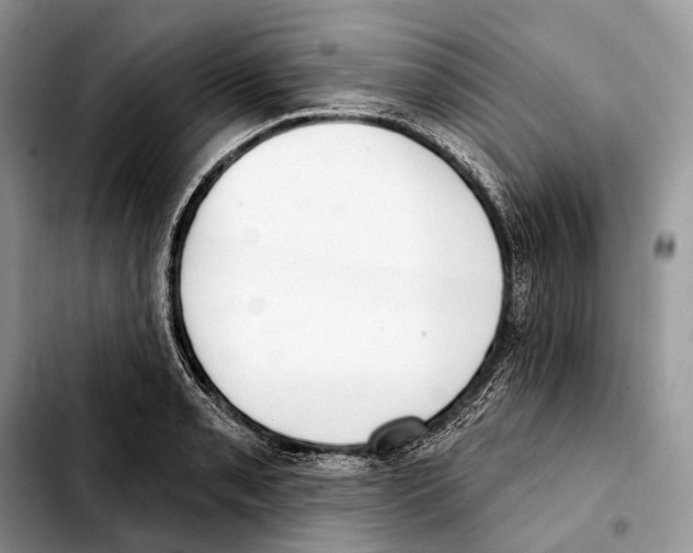 X0000103461085200810101145