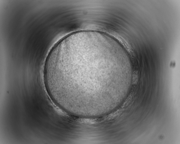 X0000103461086200810101145