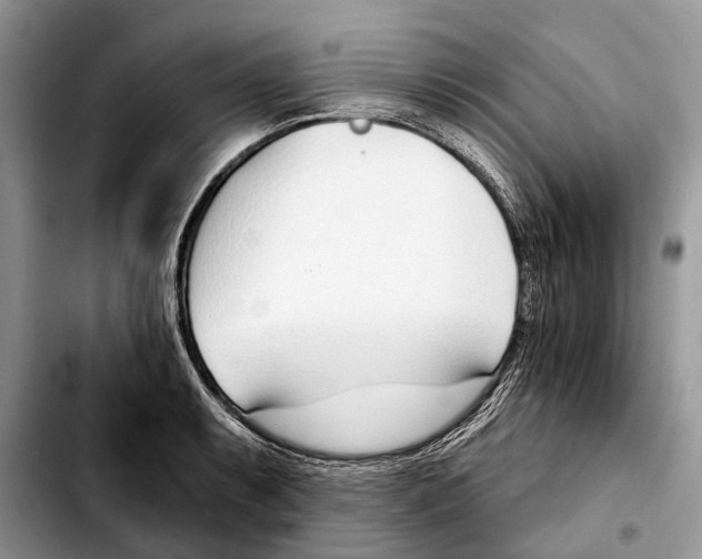 X0000103461087200810101145