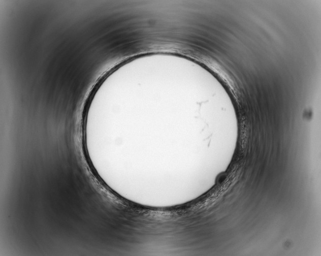 X0000103461088200810101145