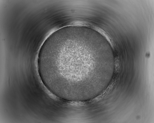X0000103461091200810101145