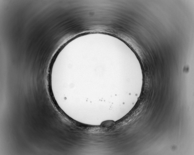 X0000103461093200810101145