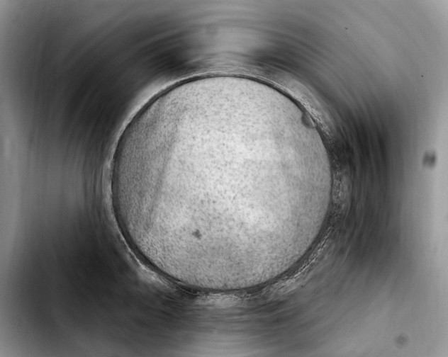 X0000103461094200810101145