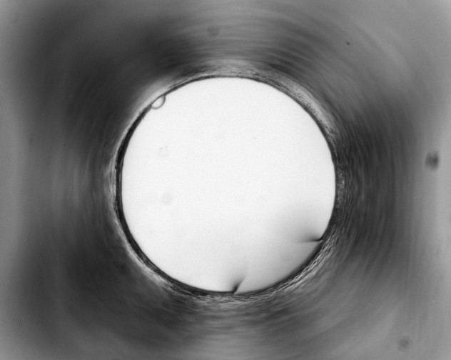X0000103461095200810101145