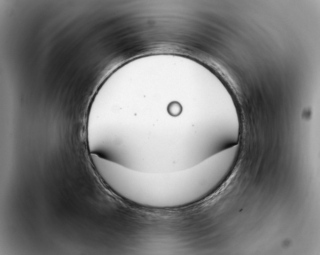 X0000103461097200810101145