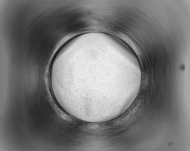 X0000103461098200810101145