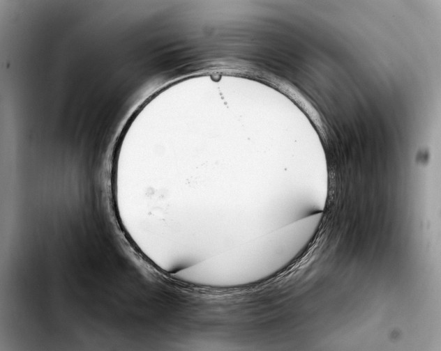 X0000103461099200810101145