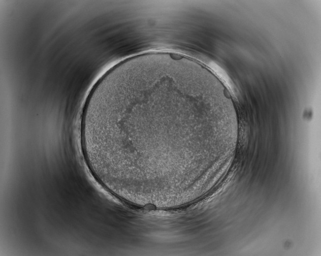 X0000103461100200810101145