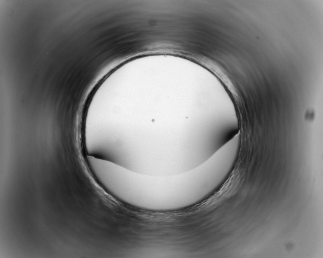 X0000103461101200810101145