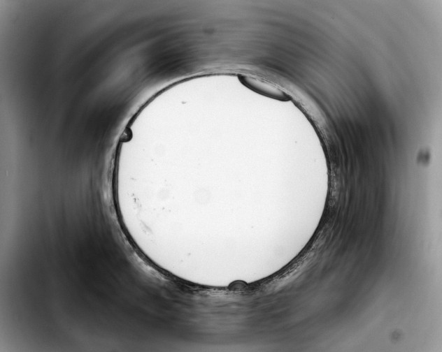 X0000103461102200810101144