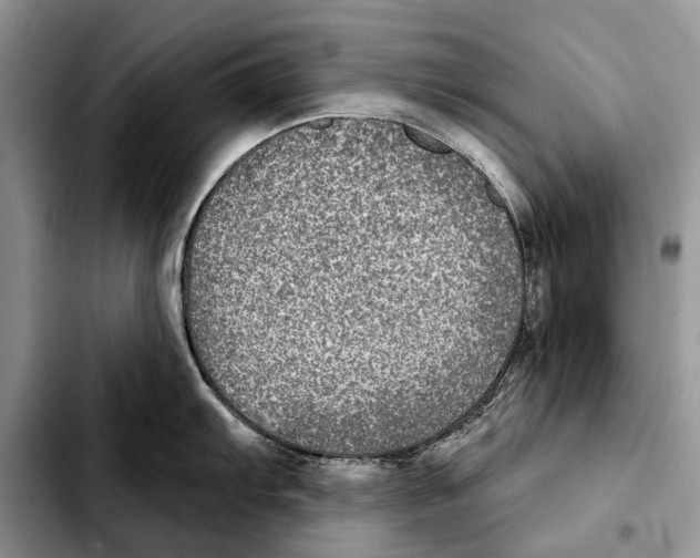 X0000103461103200810101144