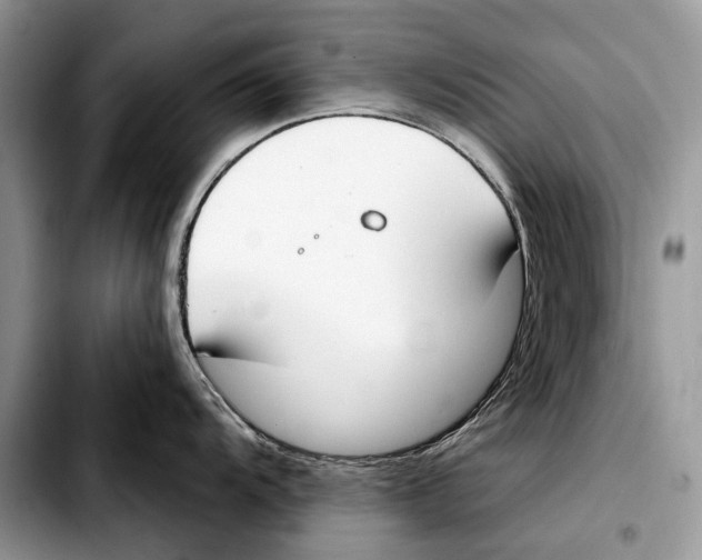 X0000103461104200810101144