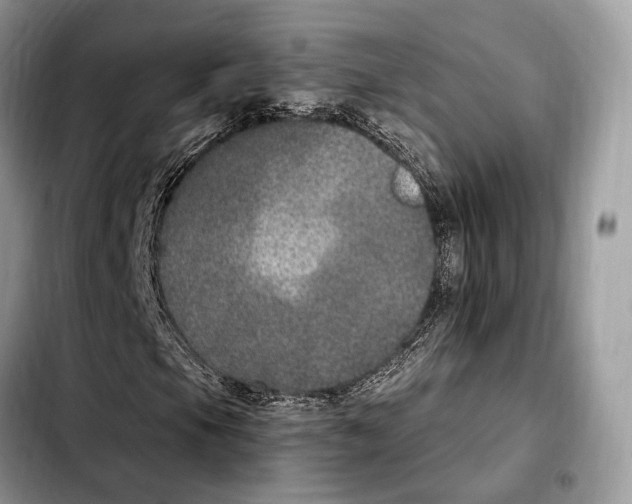 X0000103461105200810101144