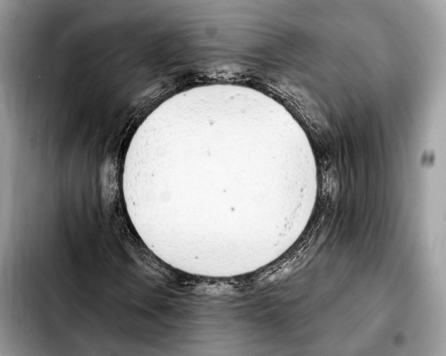X0000103461106200810101144