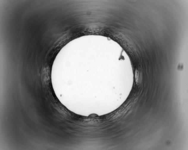 X0000103461107200810101144