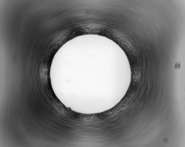 X0000103461108200810101144