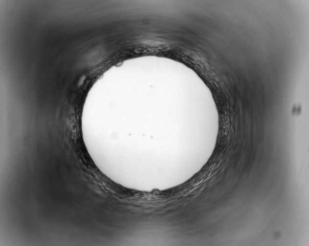 X0000103461109200810101144