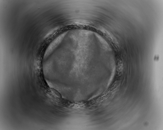 X0000103461110200810101144