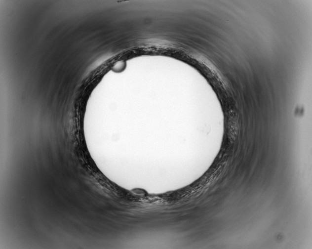 X0000103461112200810101144