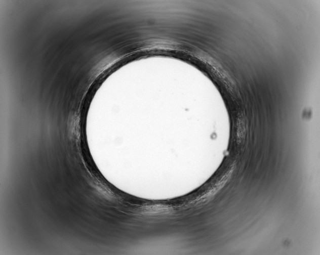 X0000103461113200810101144