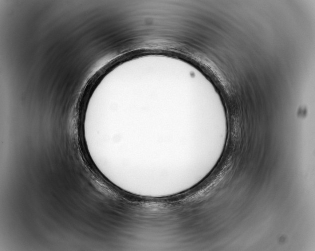 X0000103461114200810101144