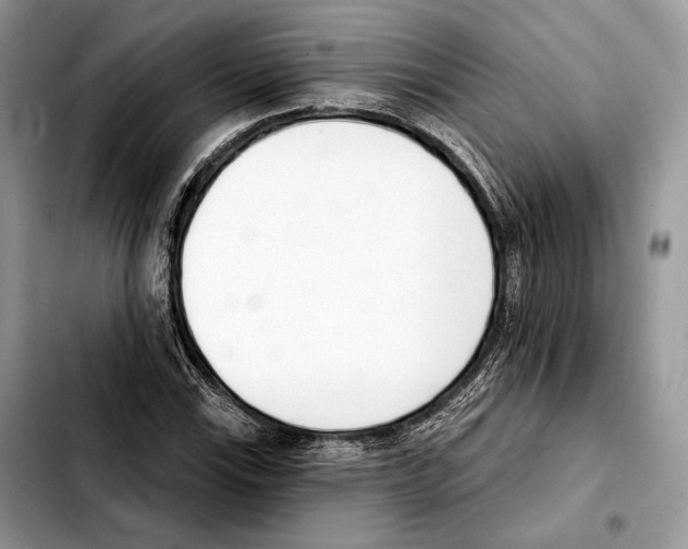 X0000103461115200810101144