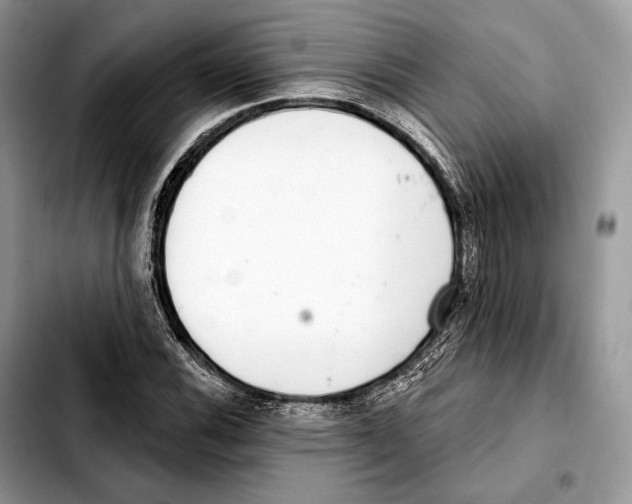 X0000103461116200810101144