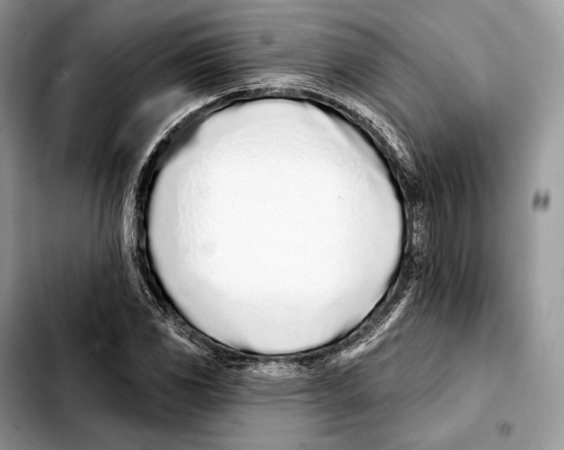 X0000103461117200810101144