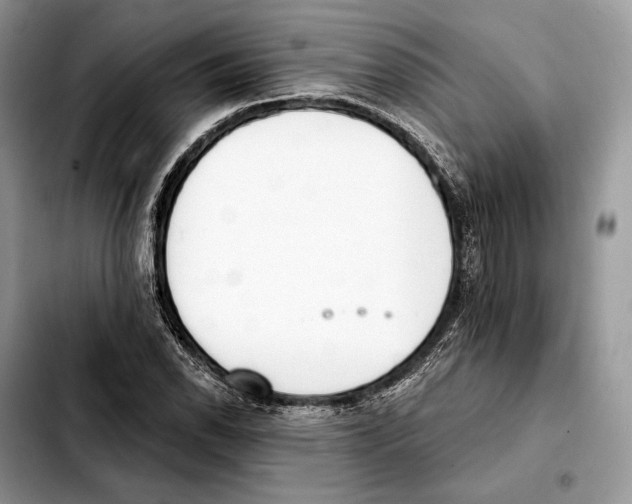 X0000103461118200810101144
