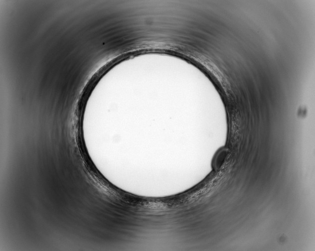 X0000103461119200810101144