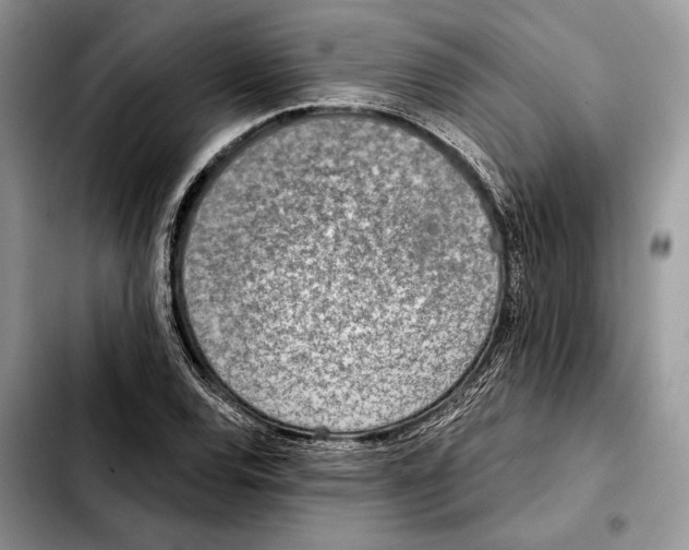 X0000103461120200810101144