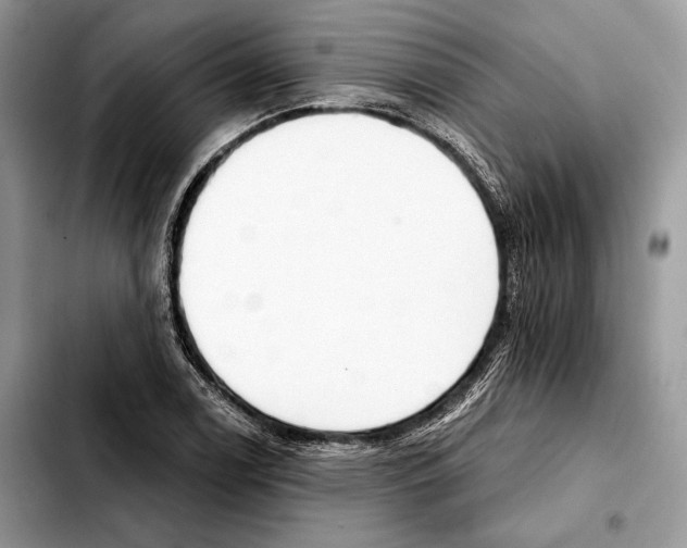 X0000103461122200810101144