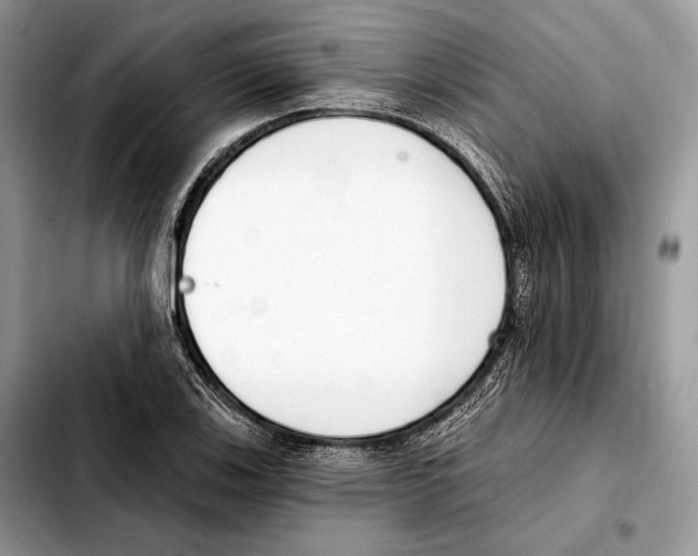 X0000103461123200810101144