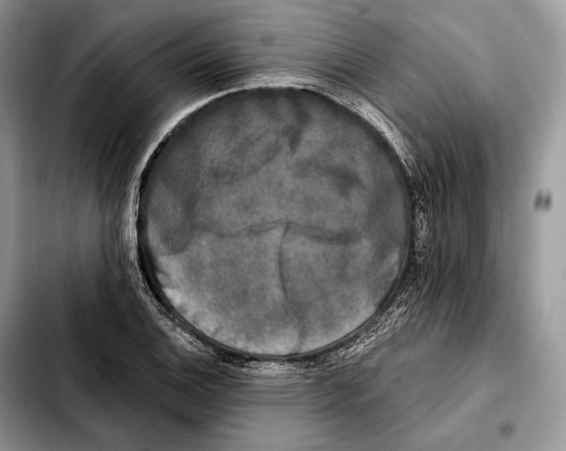 X0000103461124200810101144