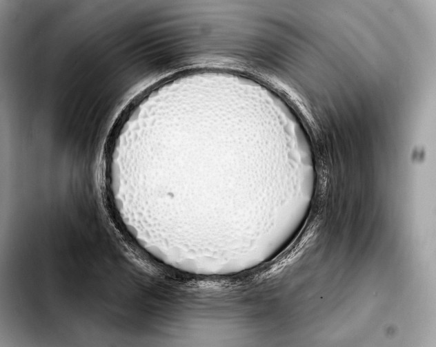 X0000103461125200810101144
