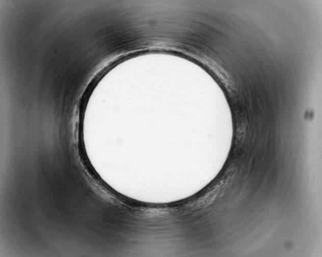 X0000103461126200810101144