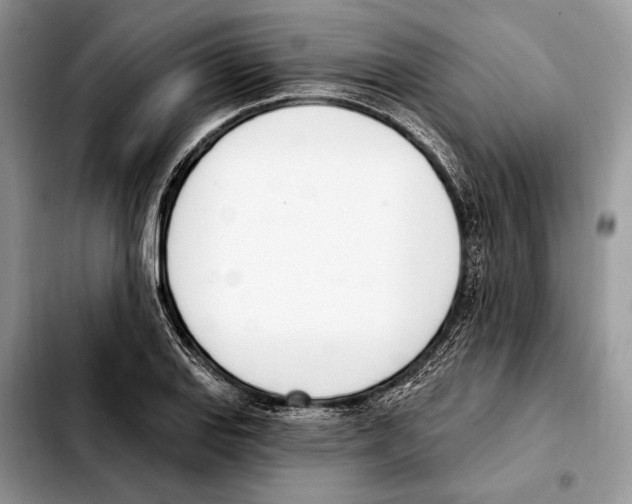 X0000103461127200810101144