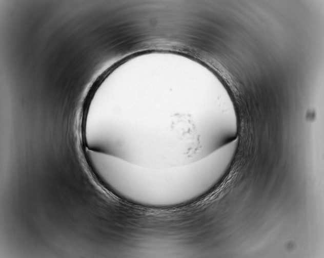 X0000103461128200810101144