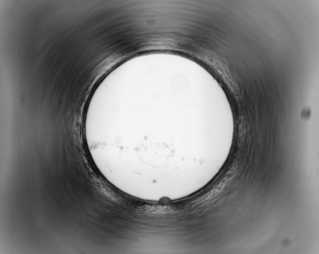 X0000103461129200810101144