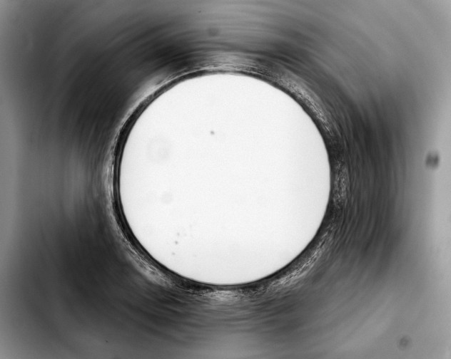 X0000103461130200810101144