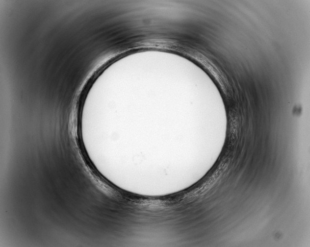 X0000103461131200810101144