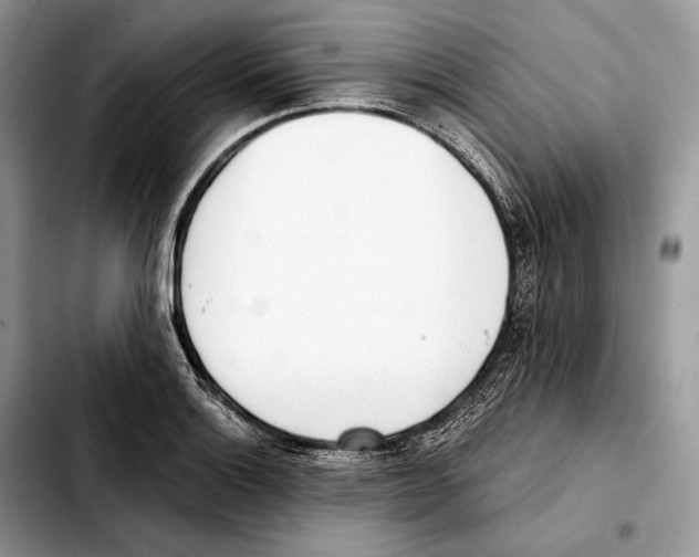 X0000103461132200810101144