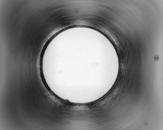 X0000103461133200810101144