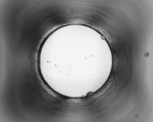 X0000103461134200810101144